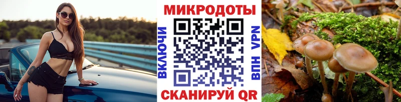Купить закладки  Ступино  Псилоцибиновые грибы GOLDEN TEACHER 